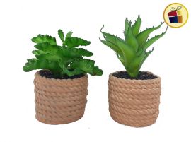 ADORNO PLATA SUCULENTA MACETA DISEÑO SOGA 13CM NICO (518-3/015980)