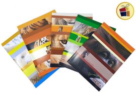 CUADERNO AMERICA X24 HJS T/FLEXIBLE (237617)         