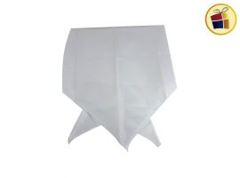 PAÑUELO ECONOMICO CELESTE Y BLANCO FRIZELINA (20534)