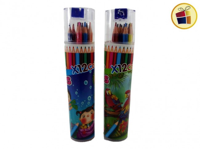 LAPIZ COLOR LARGO X12 TUBO OVAL CON SACAPUNTA (676314)