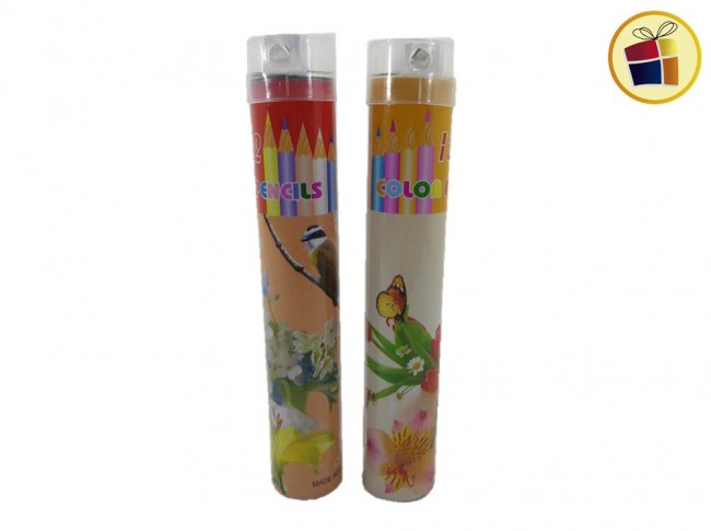 LAPIZ COLOR LARGO X12 EN TUBO CON SACAPUNTA (971794/71725)