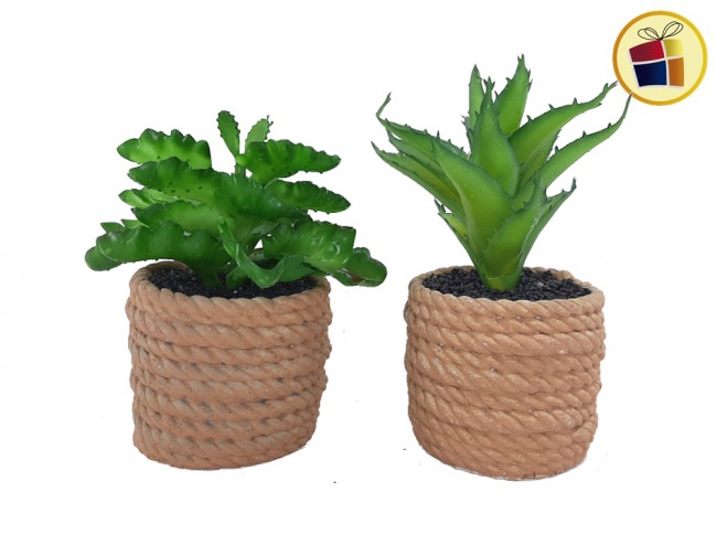 ADORNO PLATA SUCULENTA MACETA DISEÑO SOGA 13CM NICO (518-3/015980)