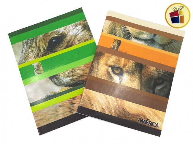 CUADERNO AMERICA X48 HJS T/FLEXIBLE (238544/238546)           