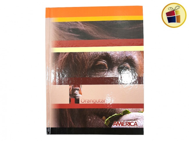 CUADERNO AMERICA X 162 HJS T/CARTON ANIMALES (674214/674219)           