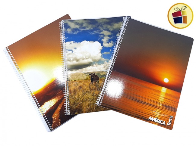 O.F.M5%CUADERNO AMERICA 29.7 TERRA C/ESPIRAL X80HJS CUADRICULADO (854180/653103)