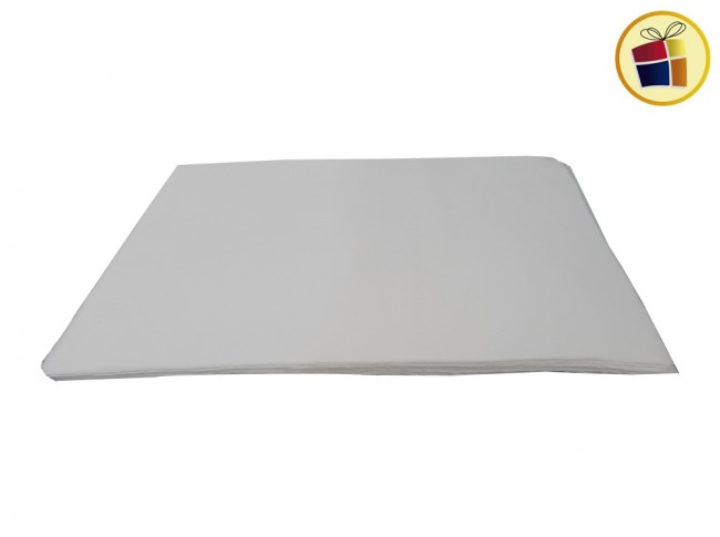 FOLEX 200GR 20X25 (122025/31584) LA CORPORACION