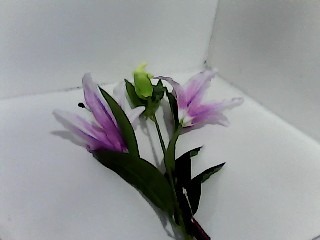 VARA LILIUM 106CM X2/3 ((CH))(160438/041-3/043-3/354549/945104/LILY-8)